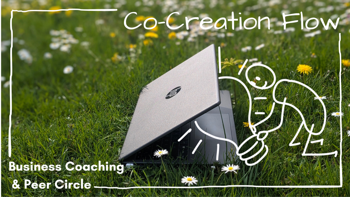 Business Coaching & Peer Circle im Park (auch online): Co-Creation Flow - Ideen, Lösungen & Feedback für dein Business