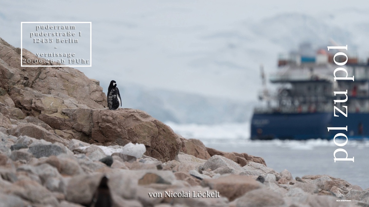 Foto Ausstellung "pol zu pol" - Tier- und Umweltschutz von Spitzbergen bis in die Antarktis