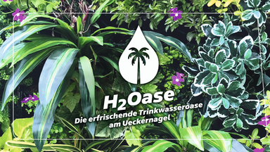 Trinkwasserevent 2026 - Eine H2Oase zum Entspannen!