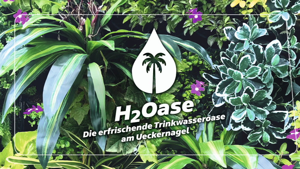 Trinkwasserevent 2026 - Eine H2Oase zum Entspannen!