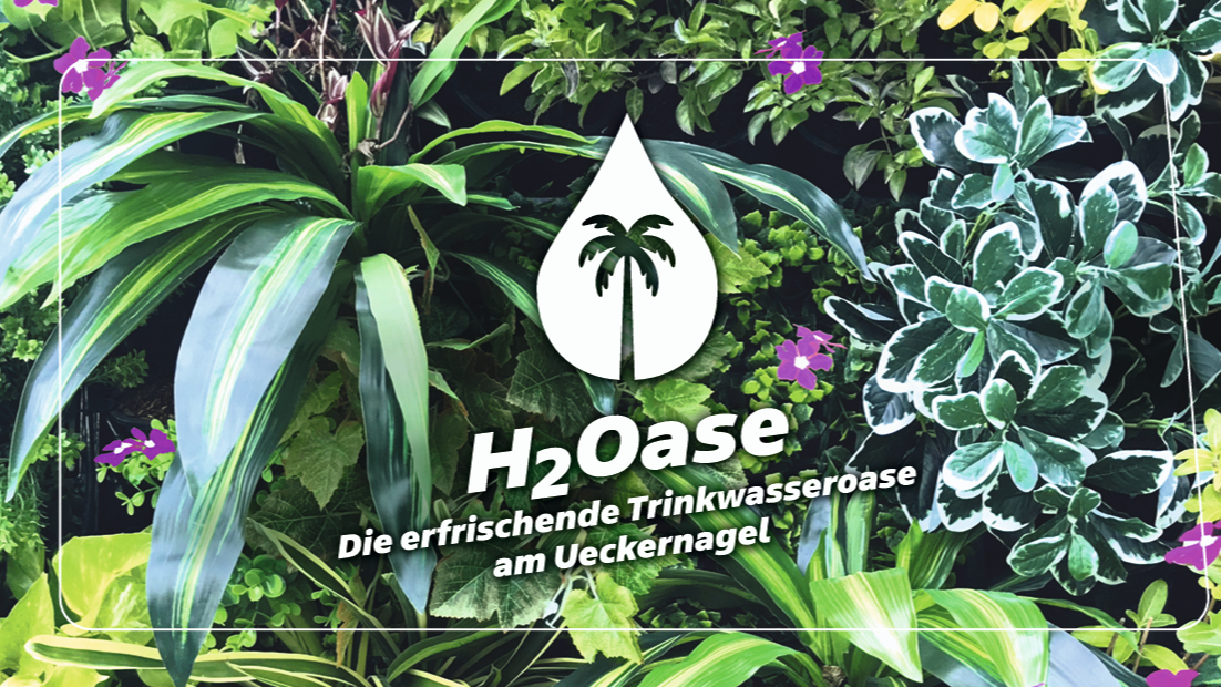 Trinkwasserevent 2026 - Eine H2Oase zum Entspannen!