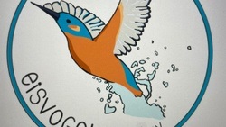eisvogel kollektiv