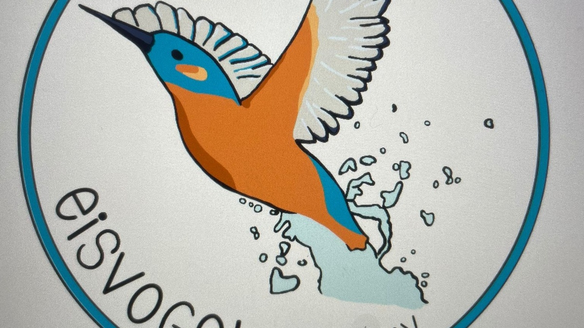 eisvogel kollektiv