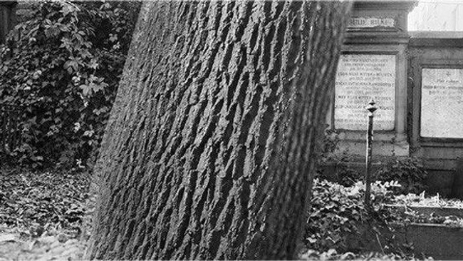 Ausstellung: "Unter soviel Lidern