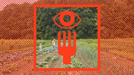 FOOD & FOOTAGE: Ernte Teilen – Solidarischen Landwirtschaft (SoLaWi)