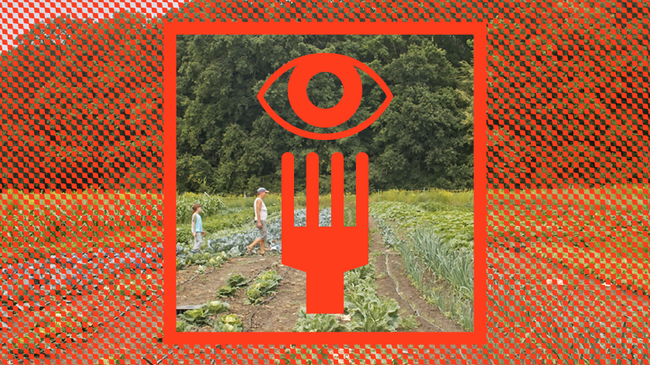 FOOD & FOOTAGE: Ernte Teilen – Solidarischen Landwirtschaft (SoLaWi)