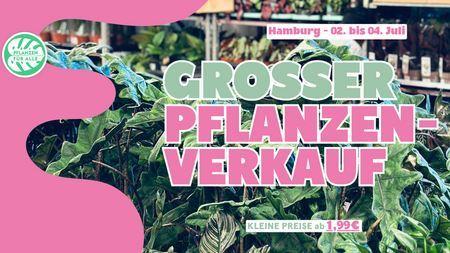 Großer Pflanzenverkauf - Hamburg