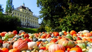 Weltgrößte Kürbisausstellung