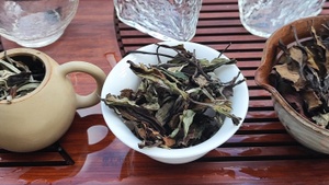 Tea Tasting & Gong Fu Cha