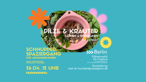 Naturwalk: Pilze & Kräuter für Anfänger:innen