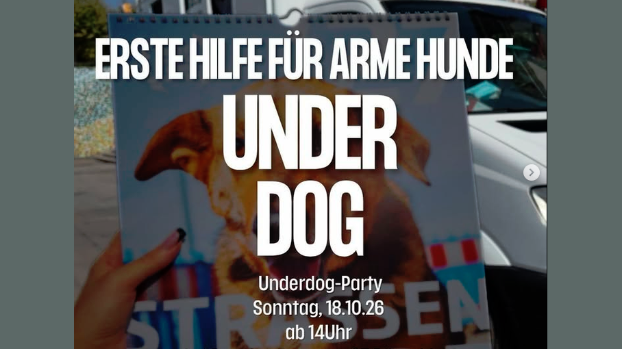 Underdog-Party