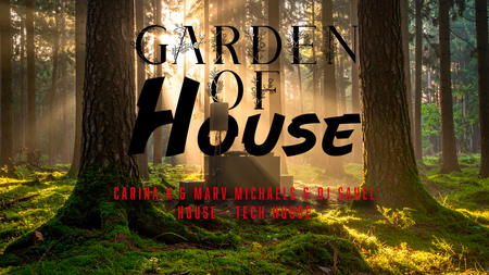 Garden of House