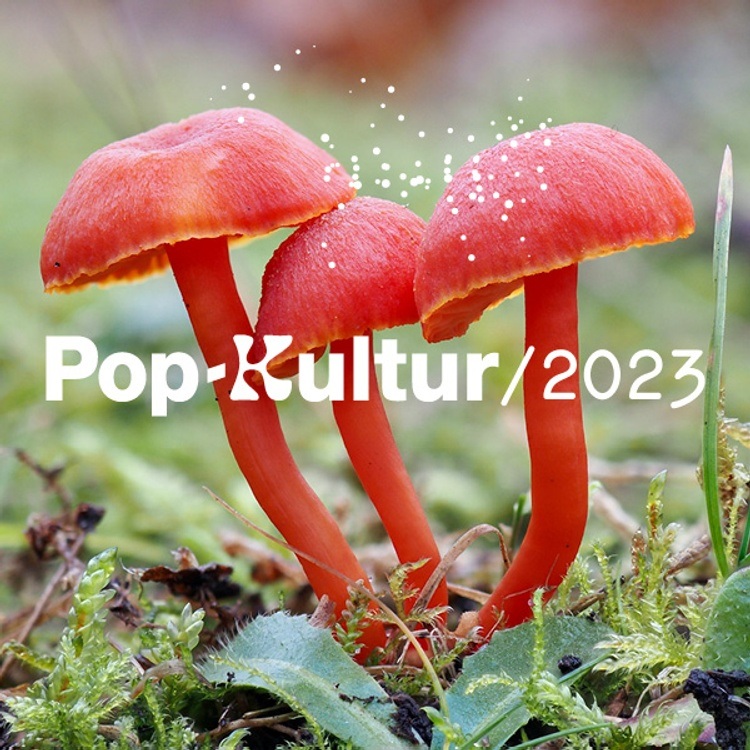 Pop-Kultur 2023 - Freitag