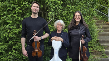 Streichtrio Classico: Klassik pur