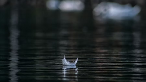 Berührung und Stille in der japanischen Heiltradition
