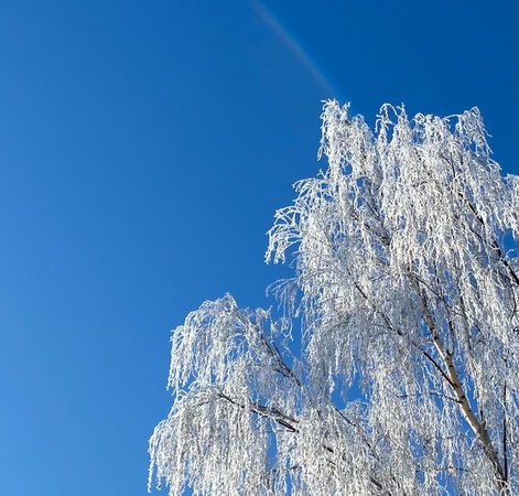 What's happening in February? Events in Hanover