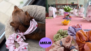 PAWFECT MATCH WORKSHOP - Hundehalstuch, Scrunchie nähen & Impulsvortrag