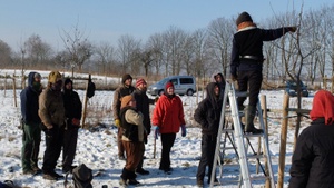 Tagesseminar Obstbaumschnitt in Freiburg/Schönberg mit der Schule für Obstbaumpflege