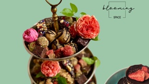 Sweets Ohne Zucker