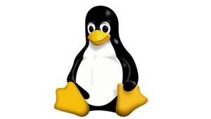Gewusst wie: Das eigene Linux-System einrichten Auswahl und Installation von nützlichen Programmen