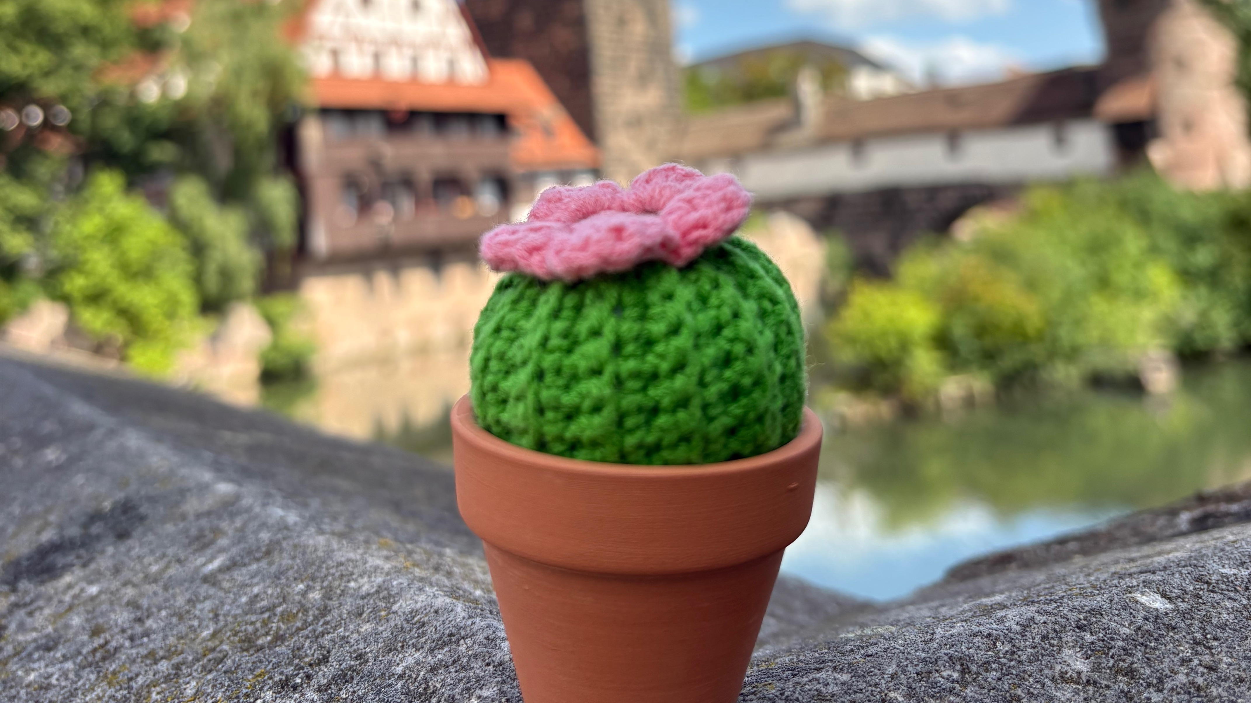 Crochet Cactus Workshop