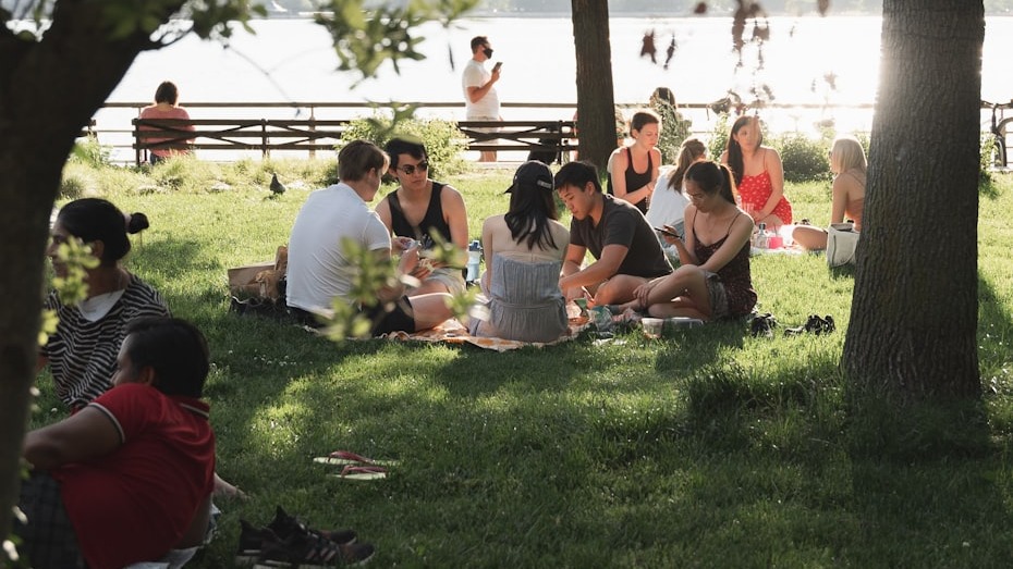Digital Detox: Speed Friending