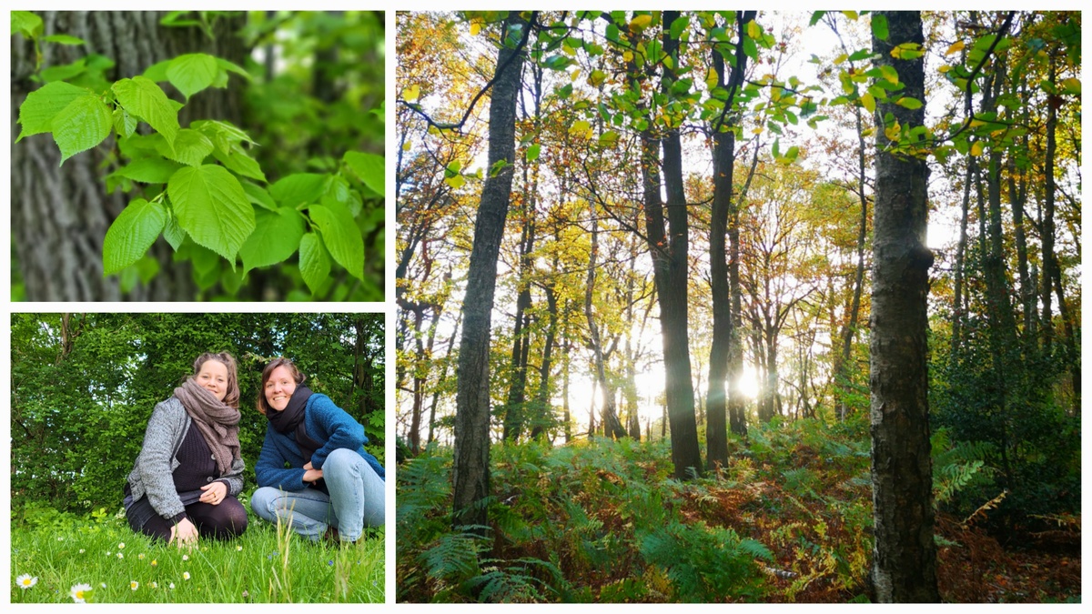 Baumzeit \u002D Natur erleben in Köln