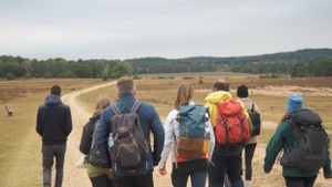 OutSight Hamburg: Birdwatching (Wanderung)