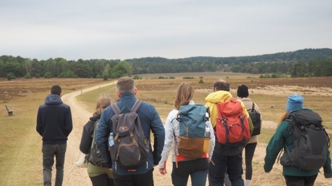 OutSight Hamburg: Birdwatching (Wanderung)