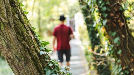 Botanischer Streifzug