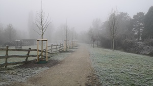 Winterlaufserie  Wersten