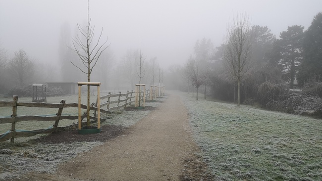 Winterlaufserie  Wersten