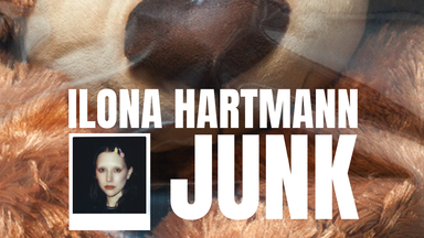 Ilona Hartmann - Junk