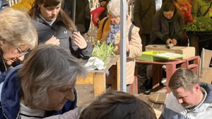 Verschenke- und Tauschmarkt für Jungpflanzen