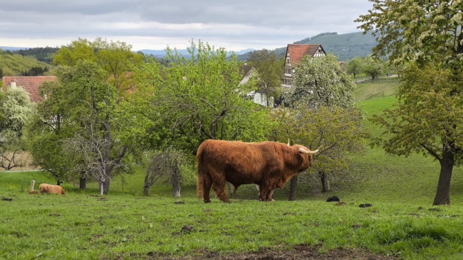 Oikocredit Förderkreis Baden-Württemberg auf dem Aktionstag im Freilichtmuseum Beuren