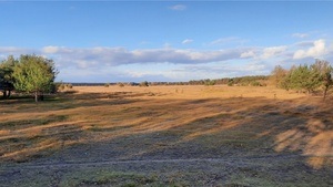 Der Kasperl kommt - Puppentheater in der Umweltstation