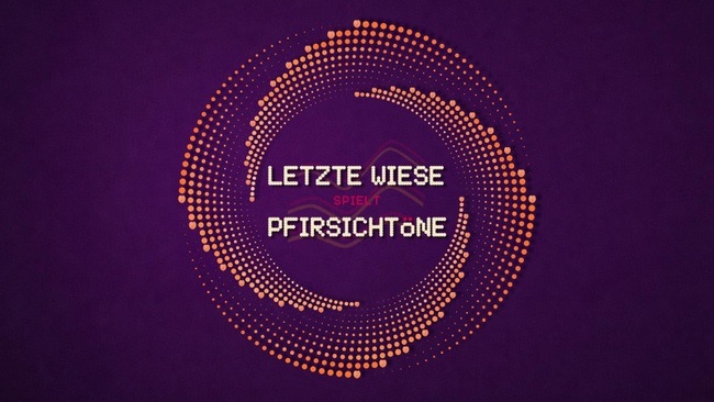 LETZTE WIESE spielt PFIRSICHTÖNE w. TRA b2b Schlecksi, Jetsk.ian, Fabu b2b Th.is Fake, Cindy G, Heinrich Grooves, MÜGE FM