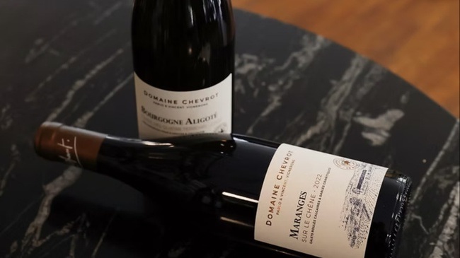 Tasting Pinot Noir