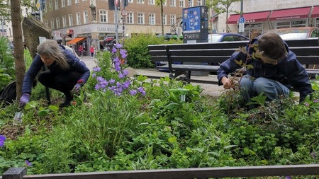 Montags-Garteln am Reichenbachplatz