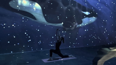 Immersive Pilates