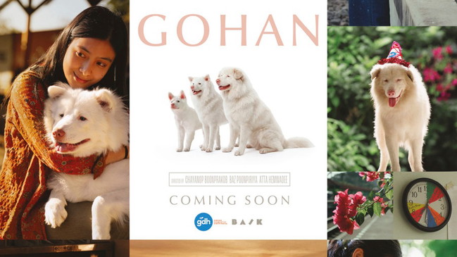 Gohan Thailand 2026 - Filmfestival Box Office Around The World 2026