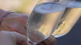 Winzersekt vs. Winzerchampagner