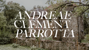 ANDREAE CLEMENT PARROTTA | Gallery Weekend Bonn