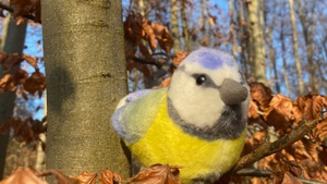 Familienzeit am Samstag "Auf Schatzsuche mit Boris Blaumeise"