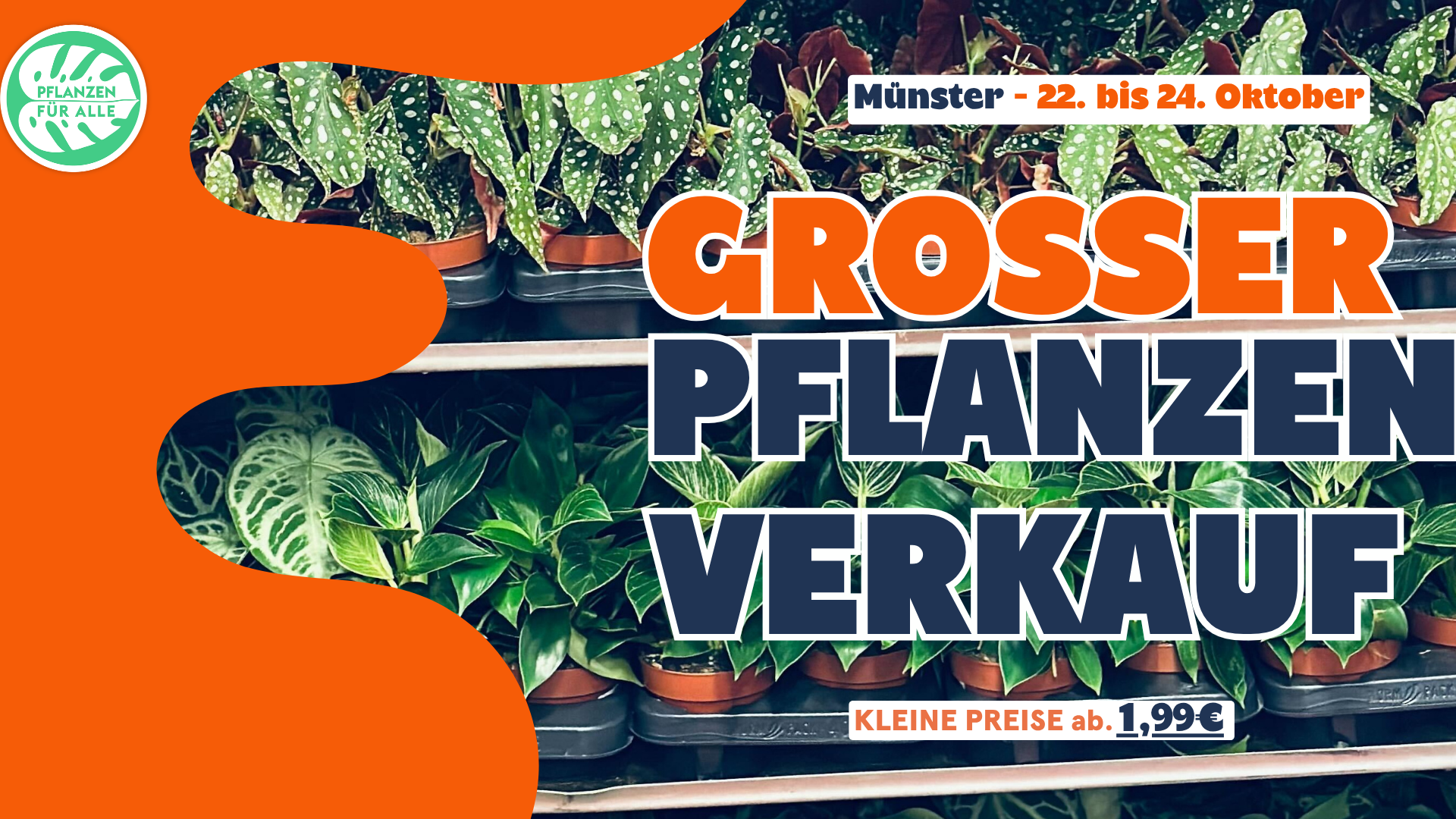 Großer Pflanzenverkauf - Münster