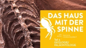 DAS HAUS MIT DER SPINNE - Teil 3: Geologie & Paläontologie