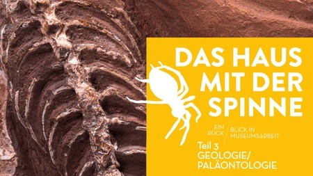 DAS HAUS MIT DER SPINNE - Teil 3: Geologie & Paläontologie