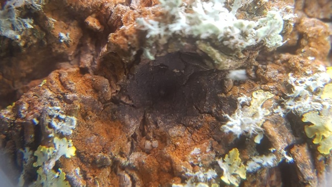 Textile Landschaften - Drop-In-Workshop für Kinder und Erwachsene mit Merle Richter