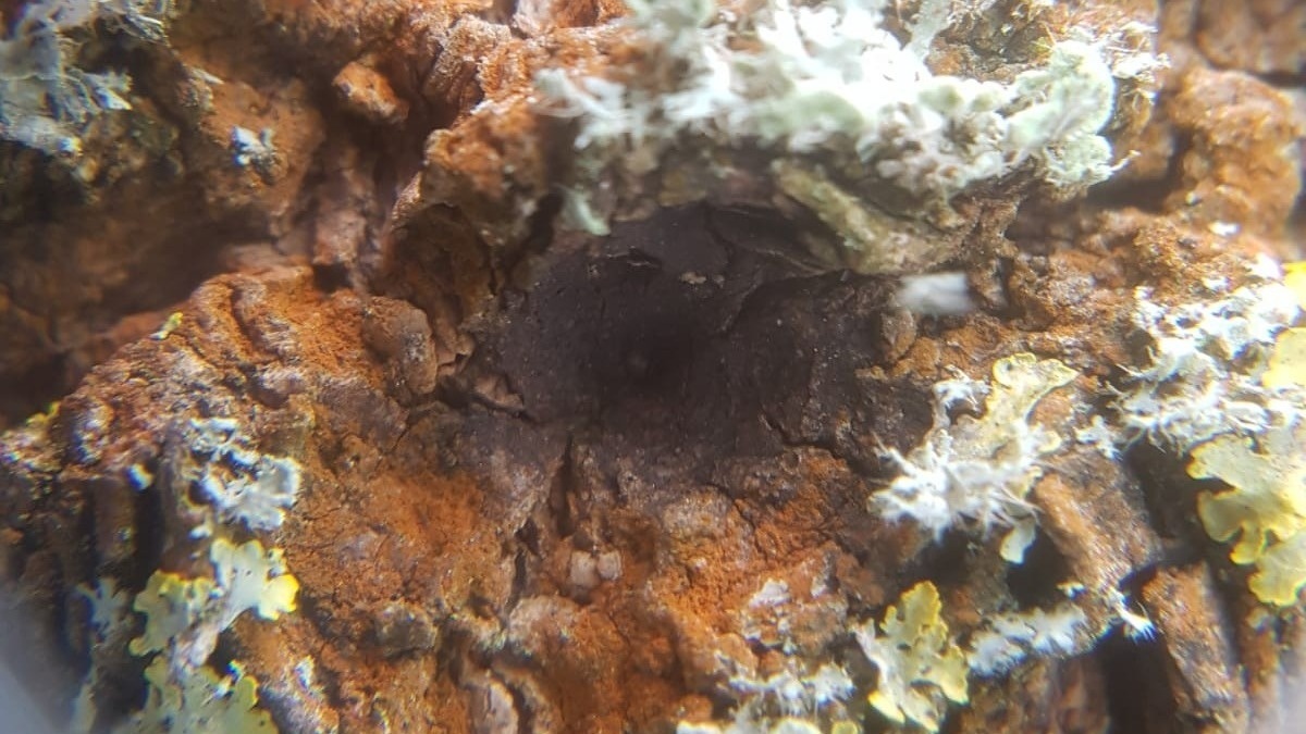 Textile Landschaften - Drop-In-Workshop für Kinder und Erwachsene mit Merle Richter