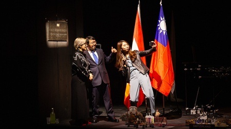 DIES IST KEINE BOTSCHAFT (MADE IN TAIWAN)